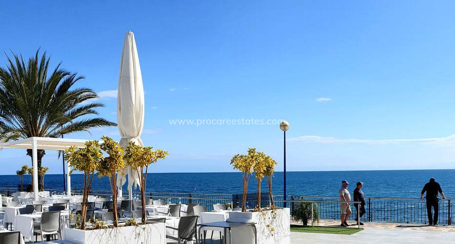 ​Welcome to Punta Prima and Torrevieja