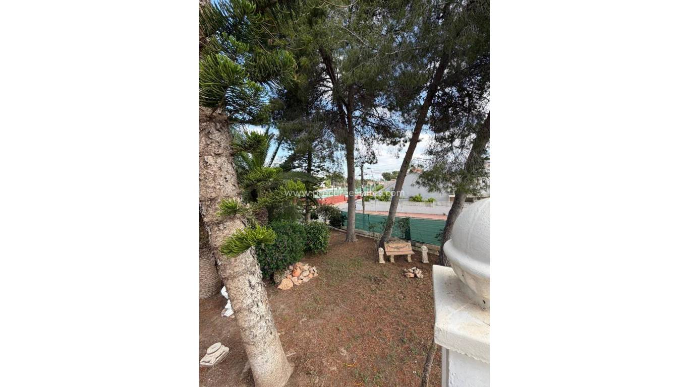 Alquiler a largo plazo - Villa - Torrevieja - Los Balcones - Los Altos del Edén