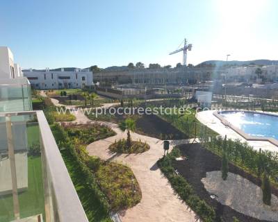 Apartamento - Nueva construcción  - Orihuela - NBS-18772