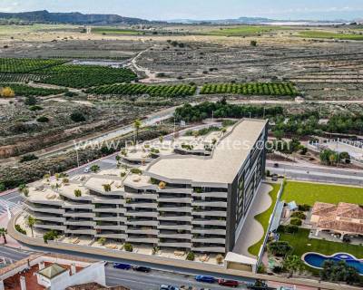 Apartamento - Nueva construcción  - San Miguel de Salinas - san miguel