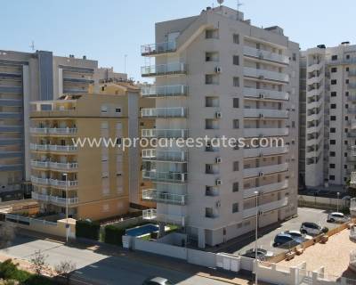 Apartamento - Reventa - Guardamar del Segura - Guardamar del Segura