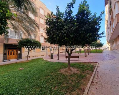 Apartamento - Reventa - Guardamar del Segura - Mercadona Guardamar