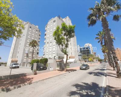 Apartamento - Reventa - Guardamar del Segura - Puerto Deportivo