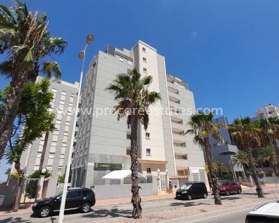 Apartamento - Reventa - Guardamar del Segura - Puerto Deportivo