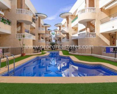Apartamento - Reventa - Jacarilla - PCE-3037