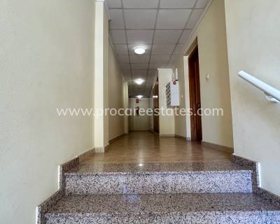 Apartamento - Reventa - Jacarilla - pueblo