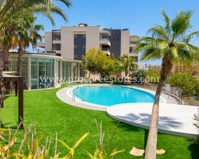 Apartamento - Reventa - Orihuela Costa - La Zenia