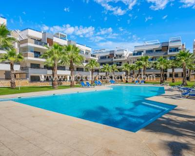 Apartamento - Reventa - Orihuela Costa - Los Altos