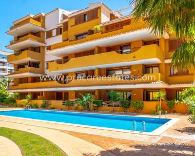 Apartamento - Reventa - Orihuela Costa - Punta Prima