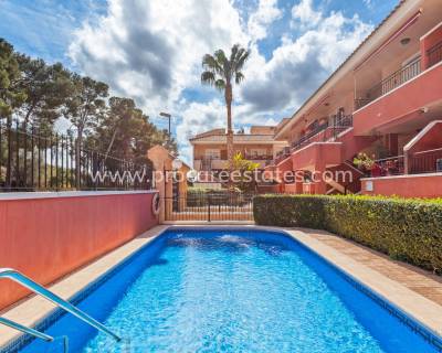 Apartamento - Reventa - Orihuela - Orihuela