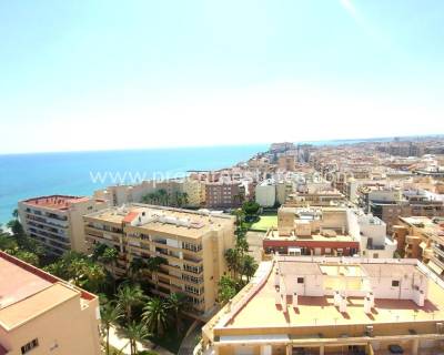 Apartamento - Reventa - Torrevieja - Carrefour Area