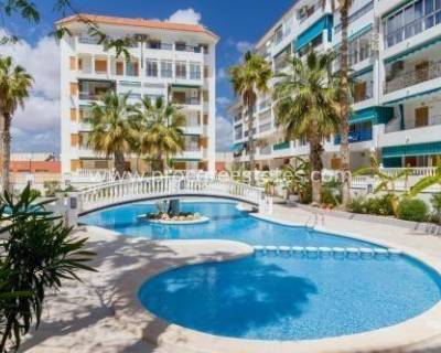 Apartamento - Reventa - Torrevieja - La Mata