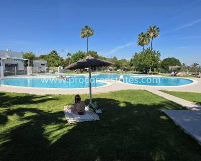 Apartamento - Reventa - Torrevieja - Los Balcones