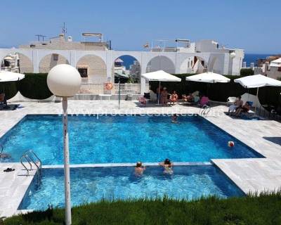 Apartamento - Reventa - Torrevieja - Los Europeos