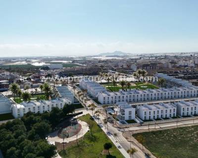Apartment - New Build - Pilar de la Horadada - NB-49518