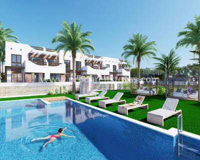 Apartment - New Build - Pilar de la Horadada - Playa de las Higuericas