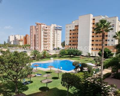 Apartment - Resale - Guardamar del Segura - GM-76394