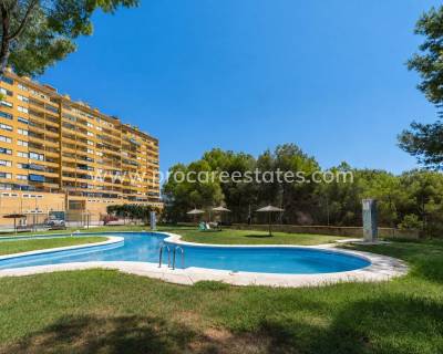Apartment - Resale - Orihuela Costa - Campoamor