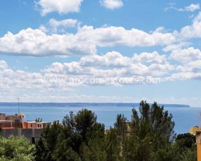 Apartment - Resale - Palma - GX-44522