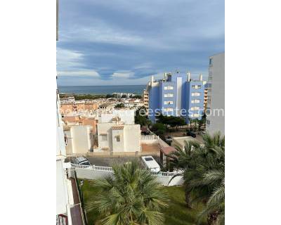 Apartment - Resale - Torrevieja - SH-55927