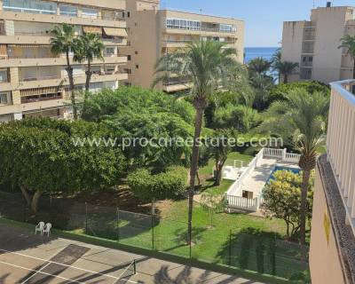 Apartment - Resale - Torrevieja - Torrevieja Center