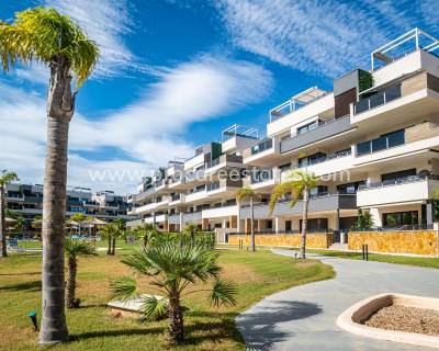 Apartment - Resale - Torrevieja - Torrevieja