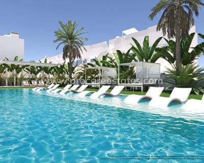 Appartement - Nieuwbouw - Pilar de la Horadada - NB-35689