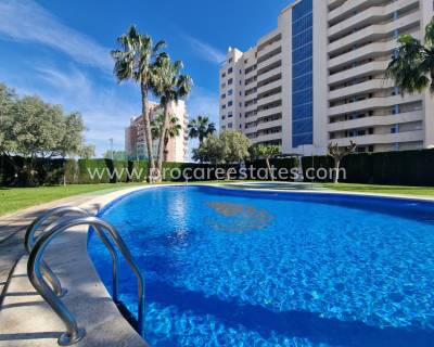 Appartement - Revente - Guardamar del Segura - GM-54528