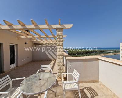 Appartement - Verkoop - Guardamar del Segura - GM-41863