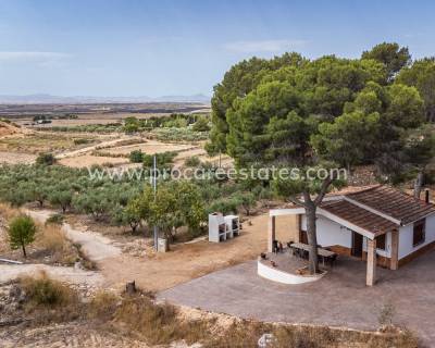 Appartement - Verkoop - LA TERCIA - La Tercia