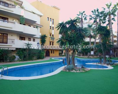 Appartement - Verkoop - Orihuela Costa - NA-18790