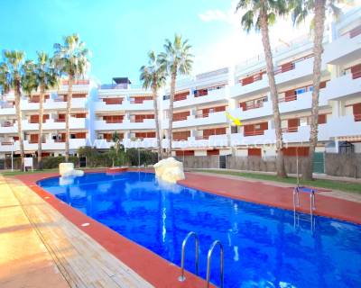 Appartement - Verkoop - Orihuela Costa - Playa Flamenca
