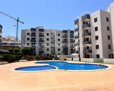 Appartement - Verkoop - San Miguel de Salinas - XB-79322