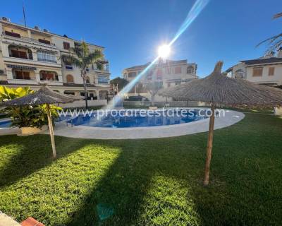 Appartement - Verkoop - Torrevieja - Carrefour Area