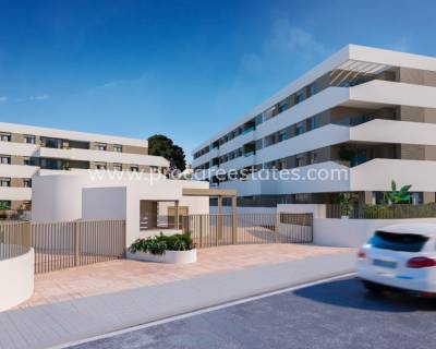 Attique - Nouvelle construction - San Juan Alicante - Fran espinos