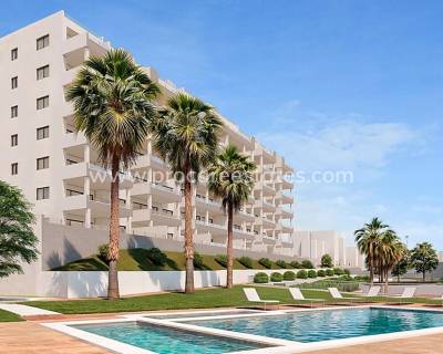 Attique - Nouvelle construction - San Miguel de Salinas - NB-92475