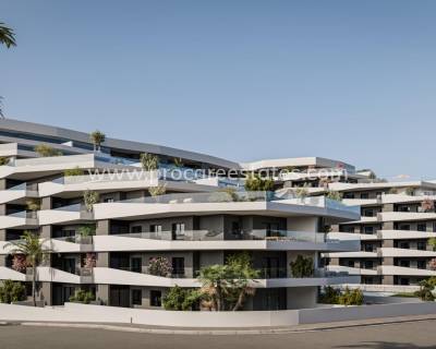 Attique - Nouvelle construction - San Miguel de Salinas - san miguel