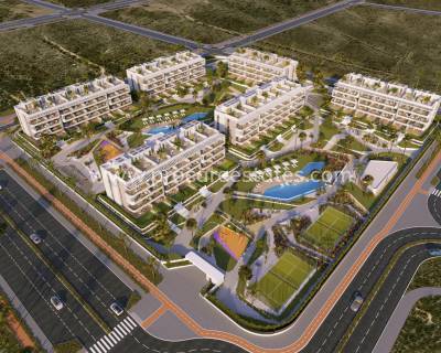 Attique - Nouvelle construction - Torrevieja - NB-77391