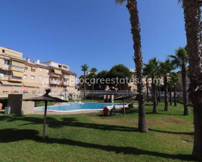 Attique - Revente - Guardamar del Segura - PCE-1349