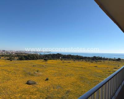 Attique - Revente - Torrevieja - SH-83892