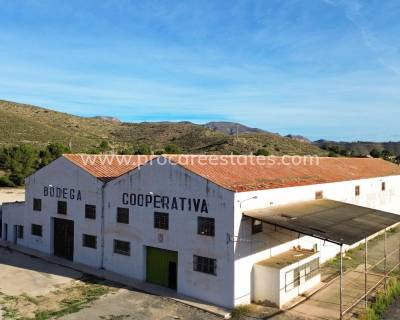 Commercial property - Resale - Hondon De Los Frailes - Hondon De Los Frailes