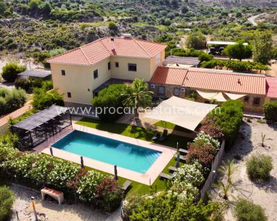 Commercial property - Resale - Huercal-Overa - PCE-1361-C