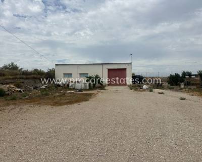 Commercial property - Resale - Torremendo - Torremendo