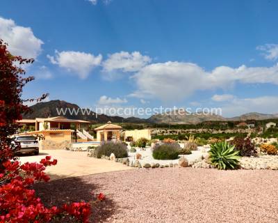 Country Property - Resale - Albatera - PCE-1455