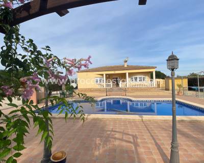 Country Property - Resale - Catral - PCE-1351