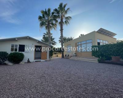 Country Property - Resale - Elche - Las Bayas