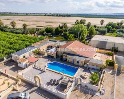 Country Property - Resale - Los Montesinos - Los Montesinos