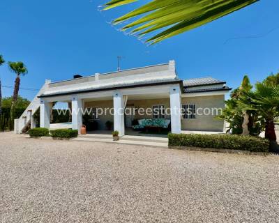 Country Property - Resale - Torrellano - Torrellano