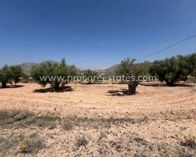 Land - Resale - Barbarroja - HV-48186