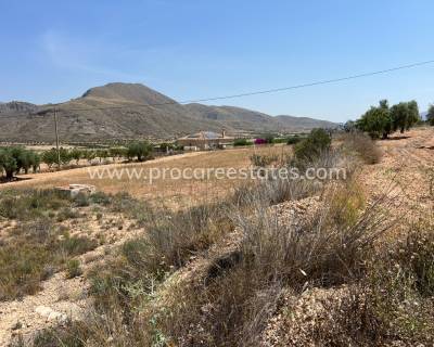 Land - Resale - Barbarroja - HV-95741